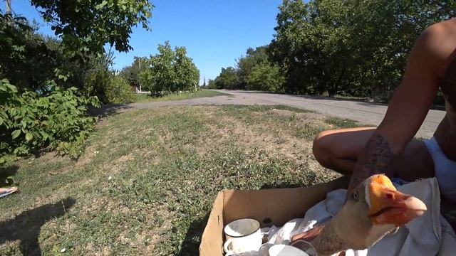 МОЙ ПАРЕНЬ ХОЧЕТ ЗАМУЖ! смотреть онлайн