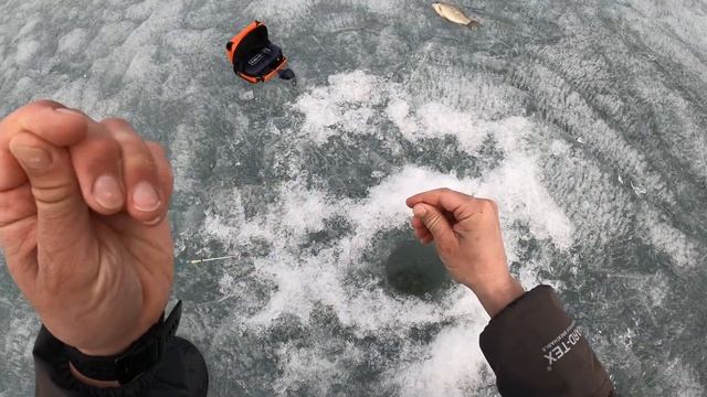 ЗАКРЫТИЕ ЗИМНЕГО СЕЗОНА 2022. АКТИВНЫЙ КАРАСЬ ПО ПОСЛЕДНЕМУ ЛЬДУ. РЫБАЛКА В КУРГАНЕ смотреть онлайн