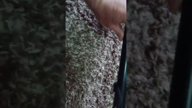 SARGAN KALAN 750 смотреть онлайн