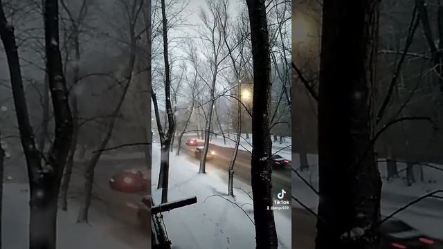 Rutube_account_1834036