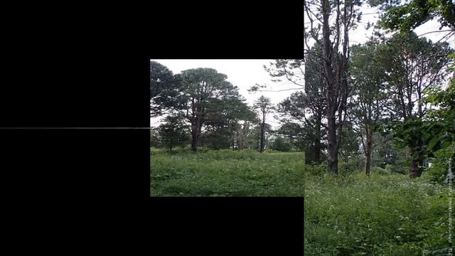 Памятники природы. Вологодский край смотреть онлайн