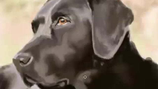 Photoshop drawing - Dog / Рисунок в Фотошоп - Собака смотреть онлайн