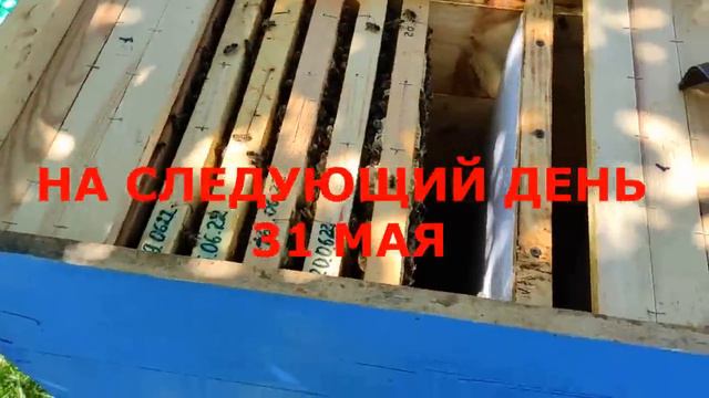 ОТВОДОК НА СТАРУЮ ПЛОДНУЮ МАТКУ! Почему нельзя так делать! А как правильно делать. смотреть онлайн