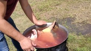 Говяжья голова. Веганам не смотреть!!!