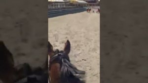 Конкур от первого лица ❤💚💙💛💛💜 #лошади #кони #конныйспорт #конюшня #любовь