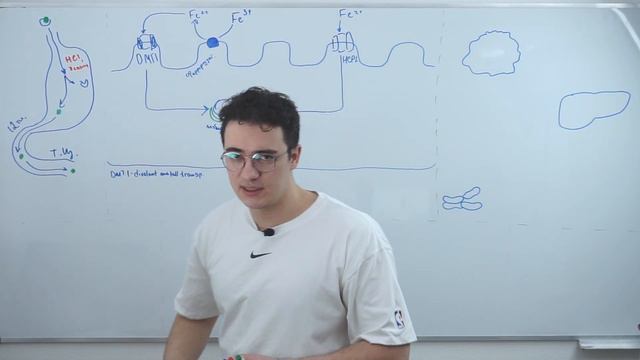 Железодефицитная анемия. От общего анализа крови до лечения смотреть онлайн