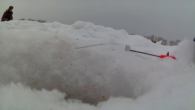 Берёзово. Рыбалка от 16.02.2018