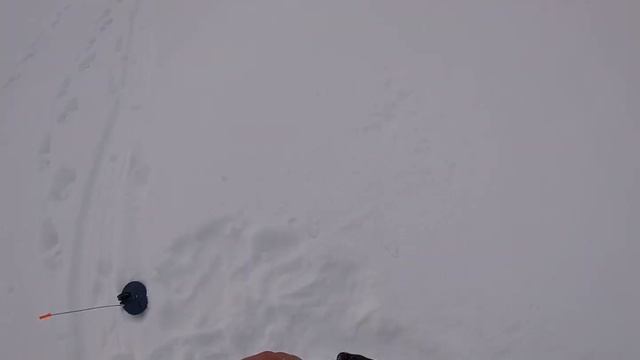 Щука на жерлицы в Башкирии смотреть онлайн