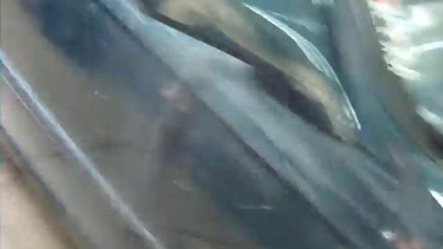 JDM Rive-Sud, Honda Civic swap H22A dyno first pull fail ecu brun p28 смотреть онлайн