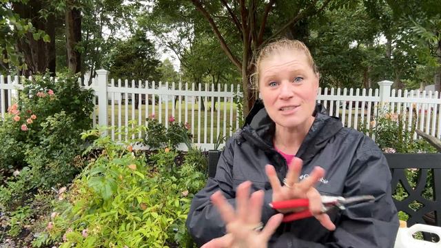 🌹 Planning for Japanese Beetles and why I get excited / Positive Thoughts / Organic Gardening смотреть онлайн