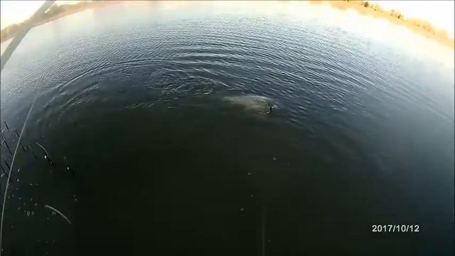 12 10 2017Рыбака на Болде смотреть онлайн