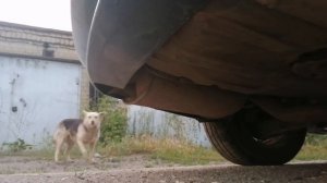 Звук m52b25  пустая банка катализатора