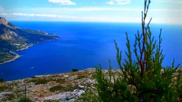 Куш-кая смотреть онлайн