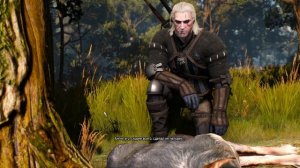 Дикое сердце (Ведьмак 3): прохождение, все концовки + последствия