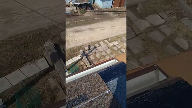 Укладка мягкой кровли смотреть онлайн