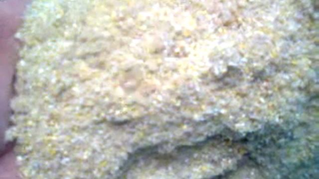 Состав корма для перепелов Морковь, рыба в составе корма для перепелов. смотреть онлайн