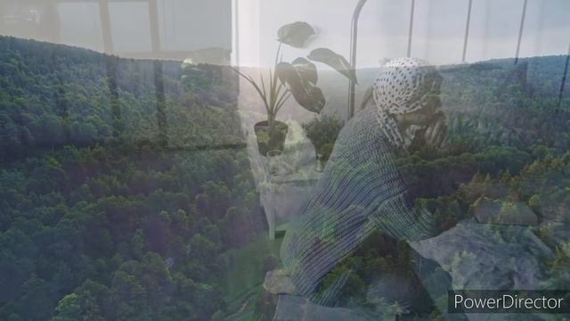 🙏❤Свят Господь❤🙏Павел Плахотин. смотреть онлайн