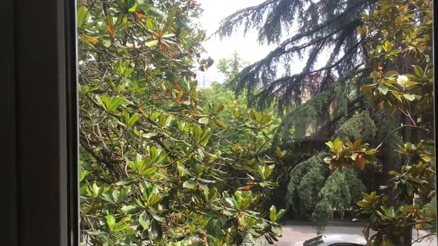 Квартира в центре Сочи посуточно смотреть онлайн
