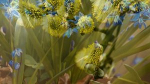 Ранняя весна в лесу.