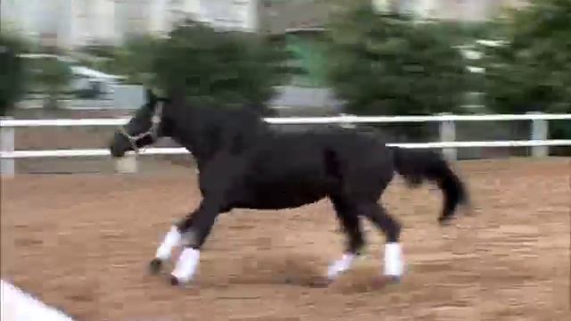 Miss Universo ¿ Te Gusto ? Dedicado para macppf - 04/10/2005-Estoy en Gran Canaria - España. смотреть онлайн