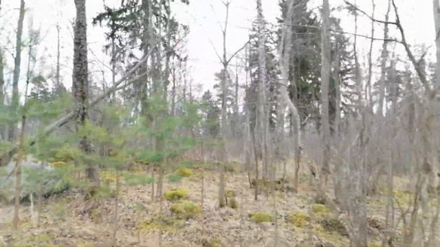 Каменный мыс (Кивиниеми). 8.03.2020. смотреть онлайн