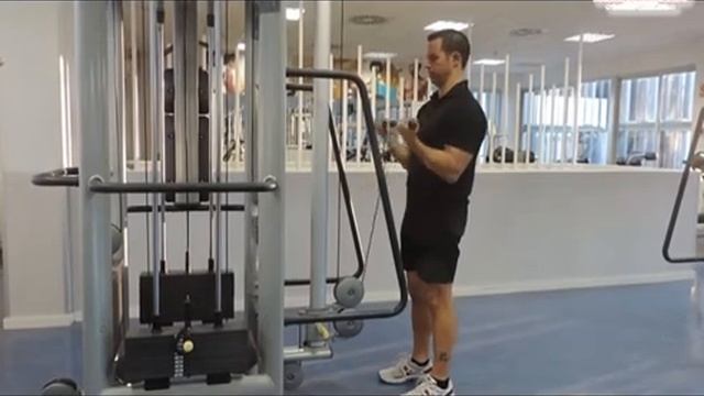 37. BICEPS - Curl con barra en polea baja смотреть онлайн