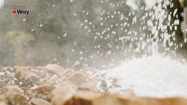 Посадка Тюльпанов Осенью