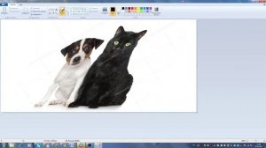 Графический редактор Paint для новичков | Простое редактирование изображений