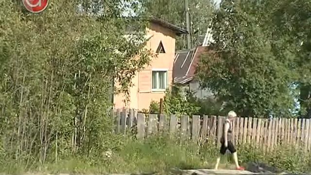 На дачах воруют рассаду смотреть онлайн