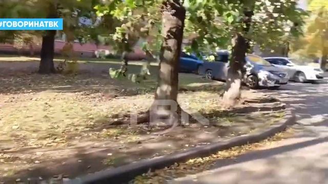 Парковки вместо детских площадок смотреть онлайн