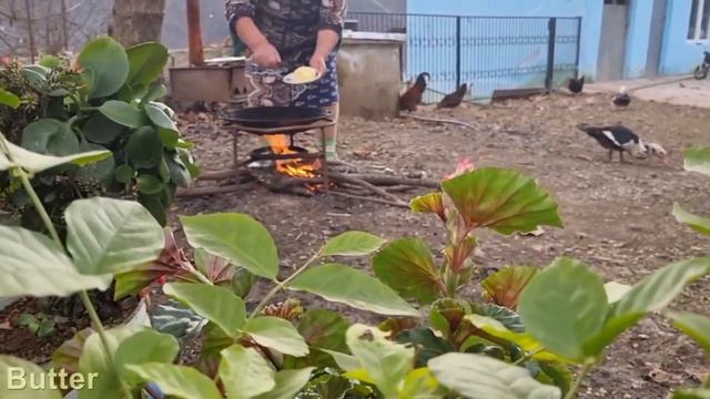 В деревне бабушка приготовила вкусный омлет Азербайджанская Кухня Деревенская Кухня Рецепты смотреть онлайн