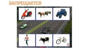 Правила ПДД для велосипедистов, 10 минут, Беларусь