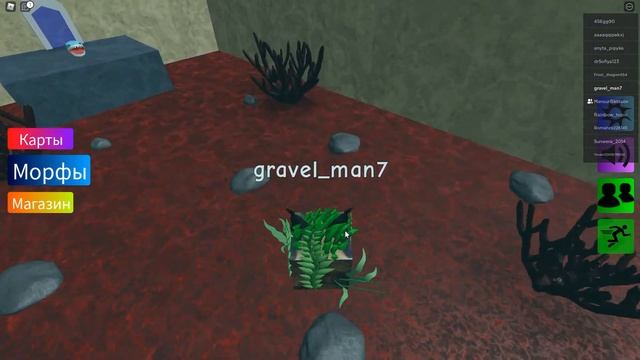как найти шлёпа акулу в Roblox смотреть онлайн