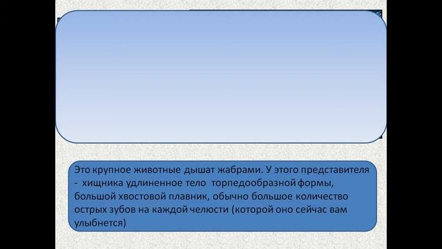 Приспособления животных к среде обитания