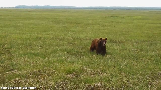 Native American Healing Flute - Heals Body Damage | Get Rid Of All Bad Energy - Relax and Meditatio смотреть онлайн