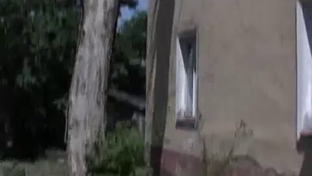 Дерево упало прямо на дом смотреть онлайн