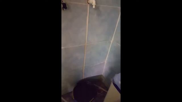 Shower terapi dari iklan fb смотреть онлайн