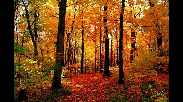 Маргарита Алигер "Осень только взялась за работу..." смотреть онлайн