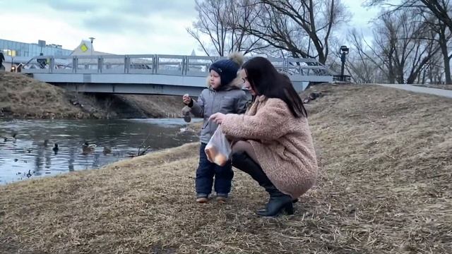Экологическое воспитание ребенка. Традиция подкармливать птиц зимой смотреть онлайн