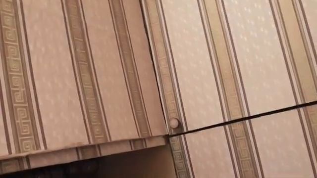 1-к квартира в Балтийске Анастасия Авеню смотреть онлайн