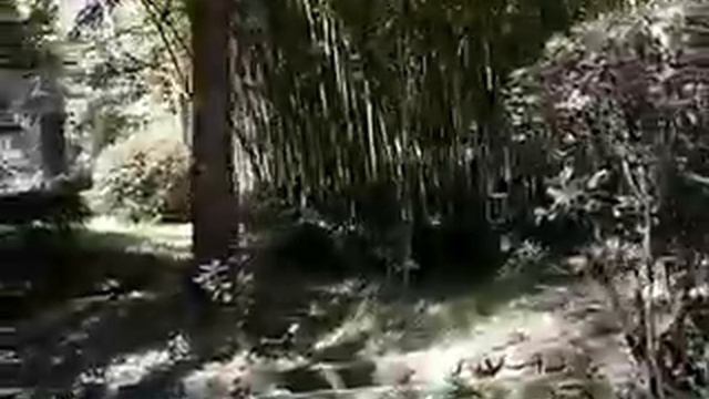 Уникальные растения в парке "Карасанский"! смотреть онлайн