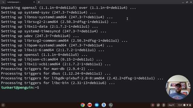 How to Install Node JS on a Chromebook смотреть онлайн