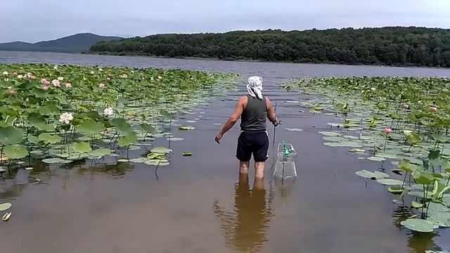 VID 20160803 134351 смотреть онлайн