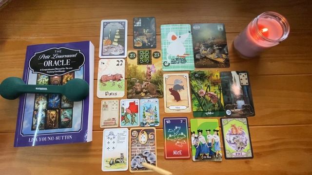 Everything you need to know about the Petit Lenormand Mice Card! смотреть онлайн