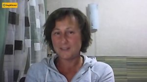 Как отучить собаку бегать за котами? «Вопрос-ответ» с кинологом Татьяной Шамановой