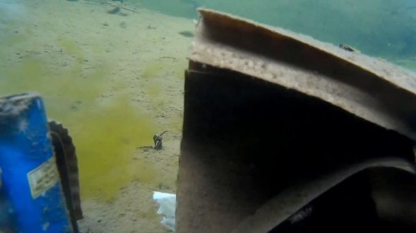 WRECK of the CARDBOARDIA 12 found!!  (S.S. Cardboard Opulence)