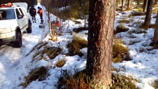 Работа в лесах Эстонии, Viljandi. Work in the forests of Estonia, Viljandi. смотреть онлайн