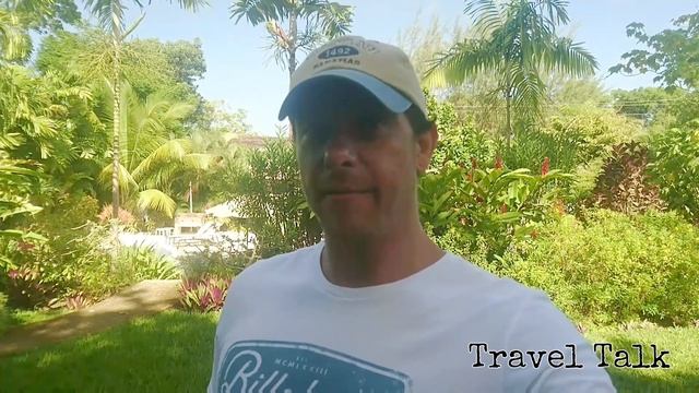 Manchineel Tree смотреть онлайн