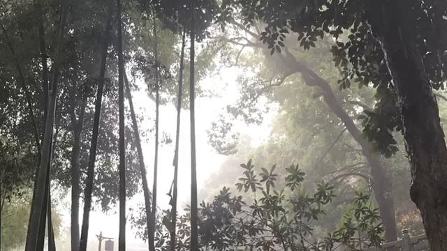 Ханчжоу летом 2017 года смотреть онлайн