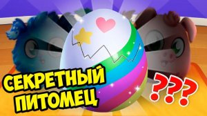 Секретный ПИТОМЕЦ❤️Ухаживаю за малышами РОБОТ кот Towniz